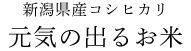 新潟県産コシヒカリ 元気の出るお米